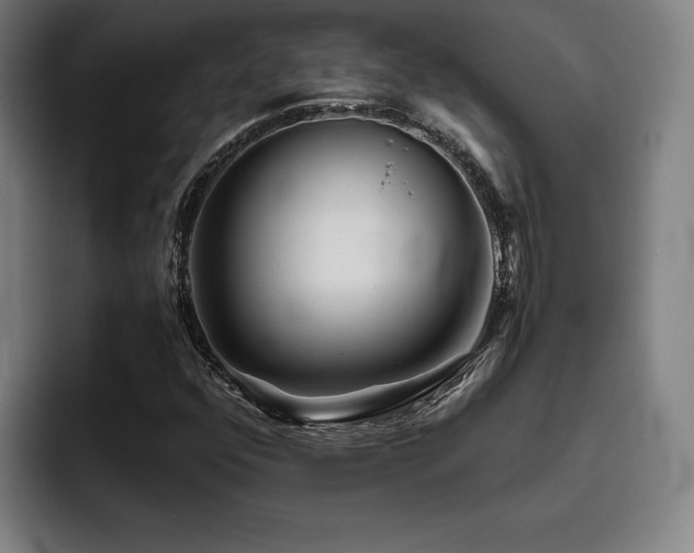 X0000093511352200710121524