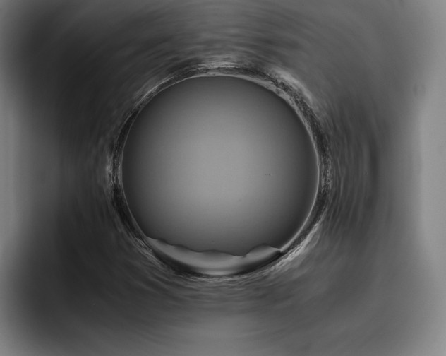 X0000093511353200710121524