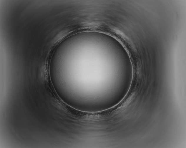 X0000093511354200710121524
