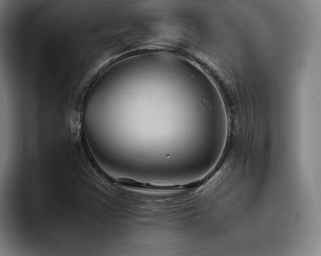 X0000093511355200710121524