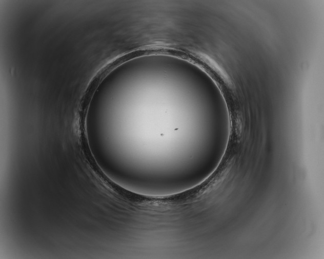 X0000093511356200710121524