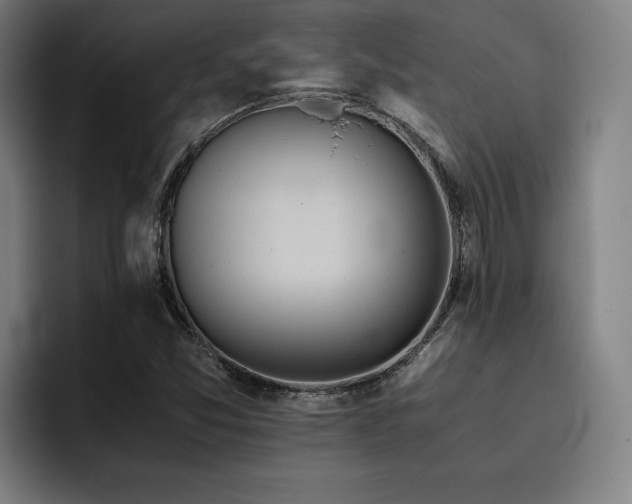 X0000093511357200710121524