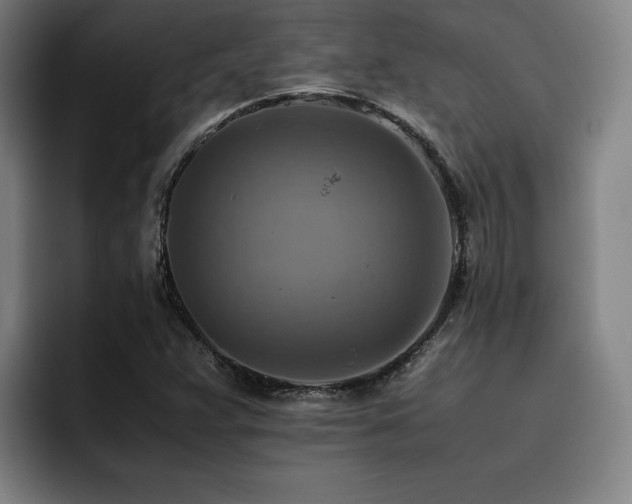 X0000093511359200710121524