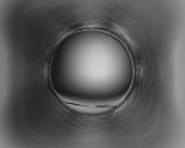 X0000093511361200710121524
