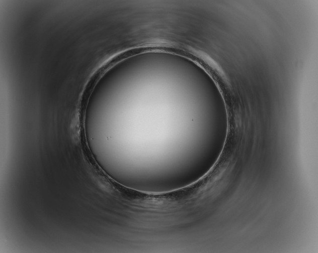 X0000093511364200710121524