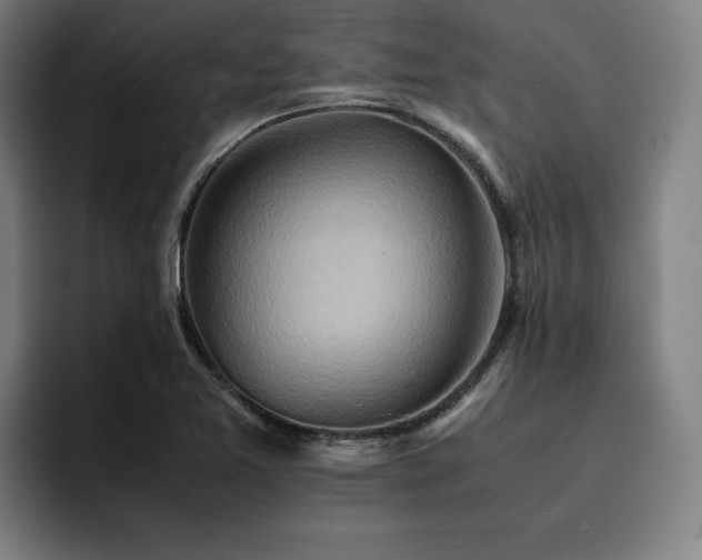 X0000093511365200710121524
