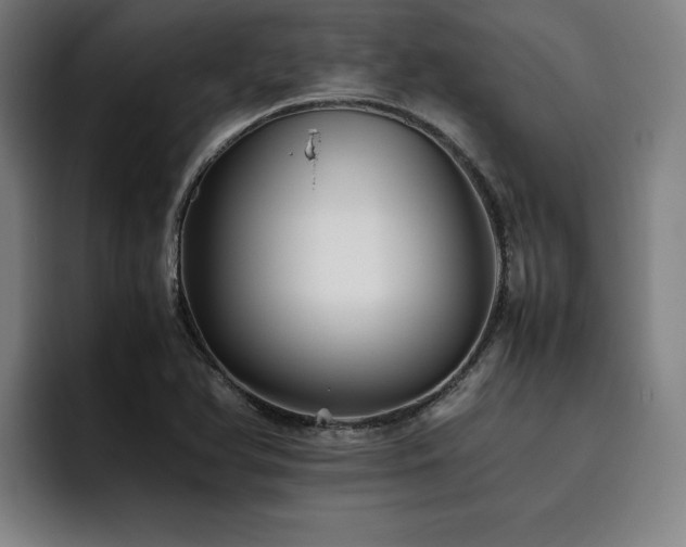 X0000093511366200710121524