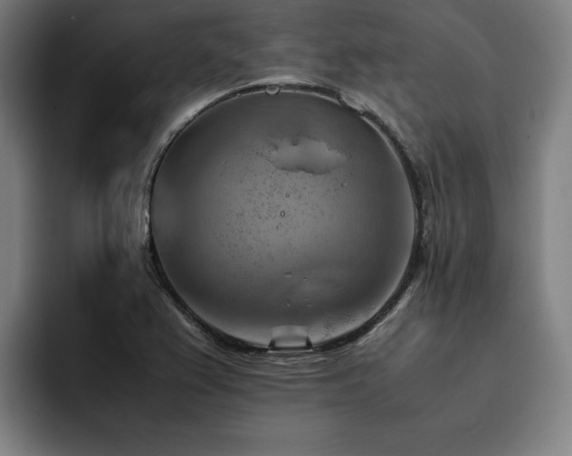 X0000093511367200710121524