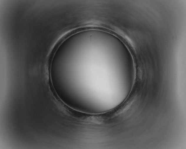 X0000093511368200710121524