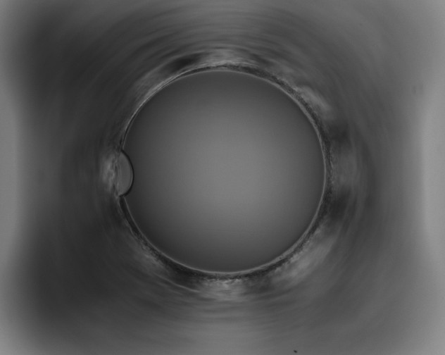 X0000093511369200710121524