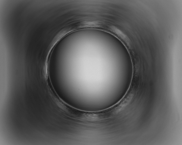 X0000093511370200710121524