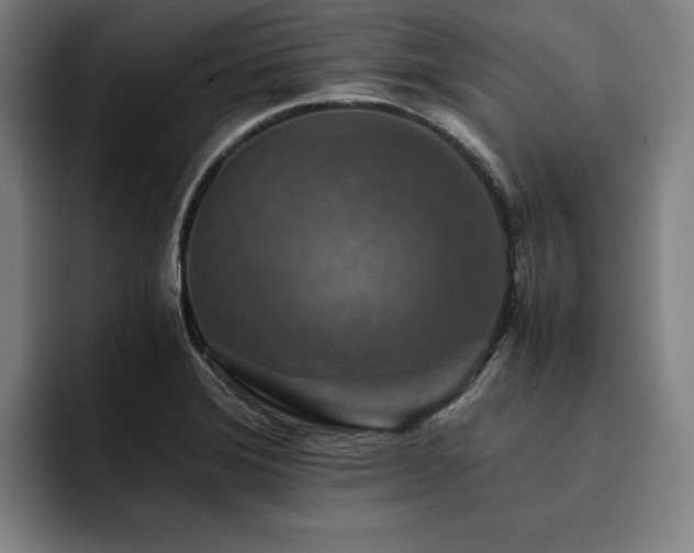 X0000093511372200710121524