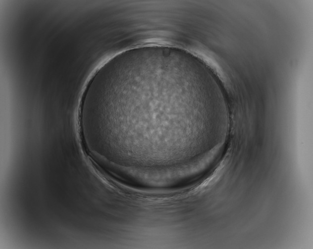 X0000093511373200710121524