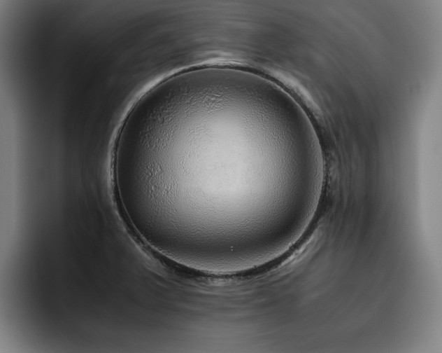 X0000093511375200710121524