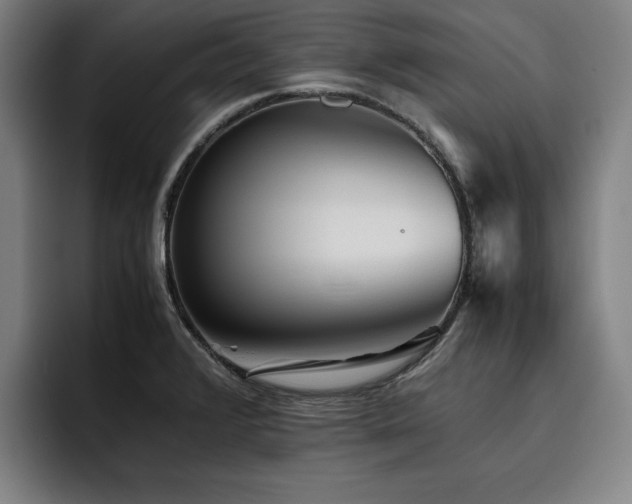 X0000093511376200710121524
