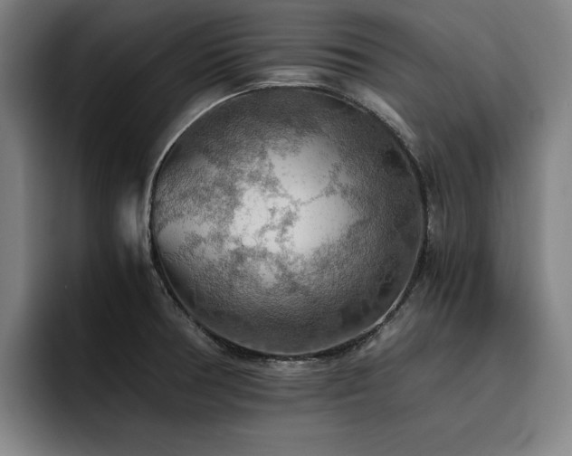 X0000093511378200710121524