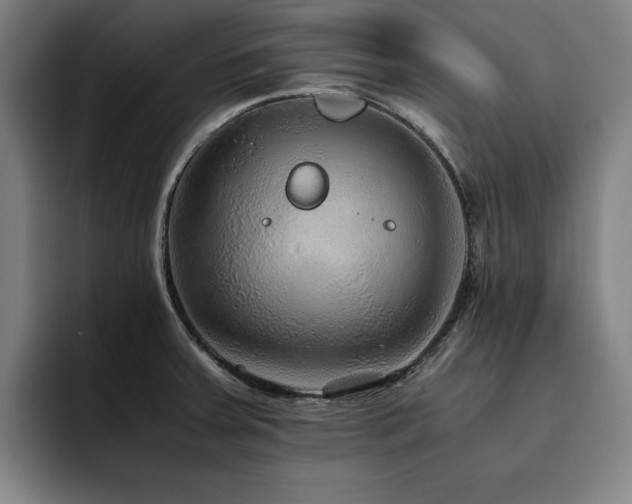 X0000093511379200710121524