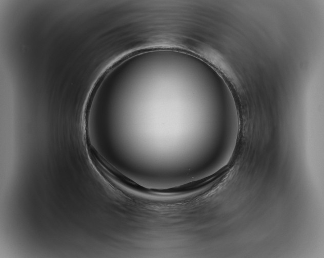 X0000093511380200710121524
