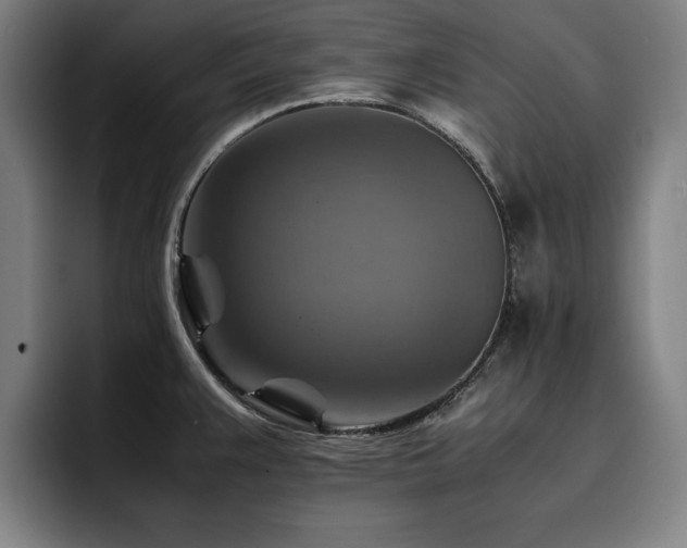 X0000093511383200710121524