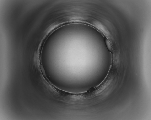 X0000093511384200710121524