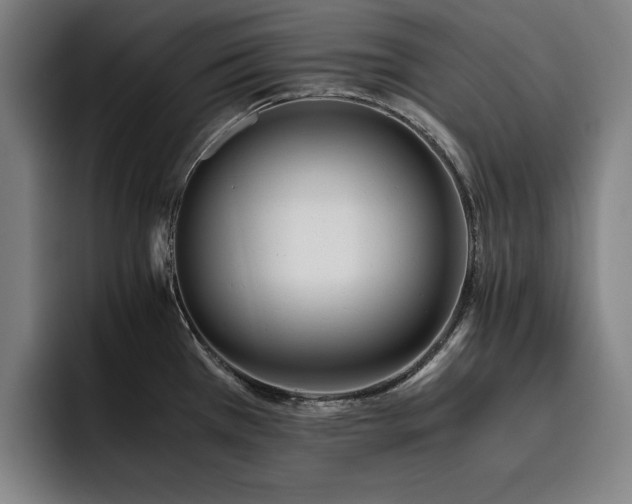 X0000093511385200710121524