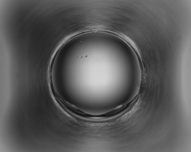 X0000093511389200710121524