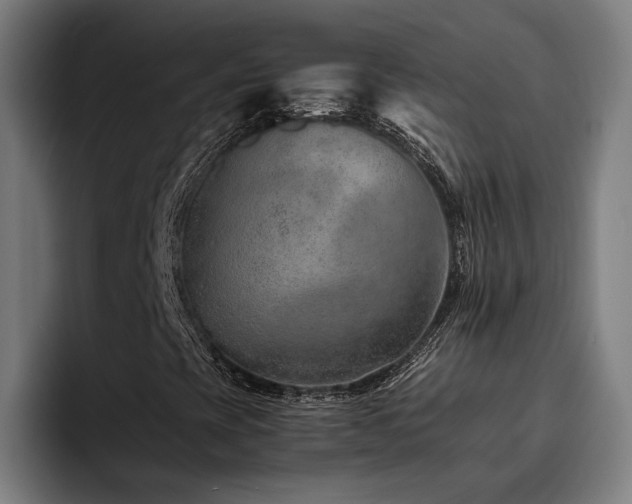 X0000093511393200710121523