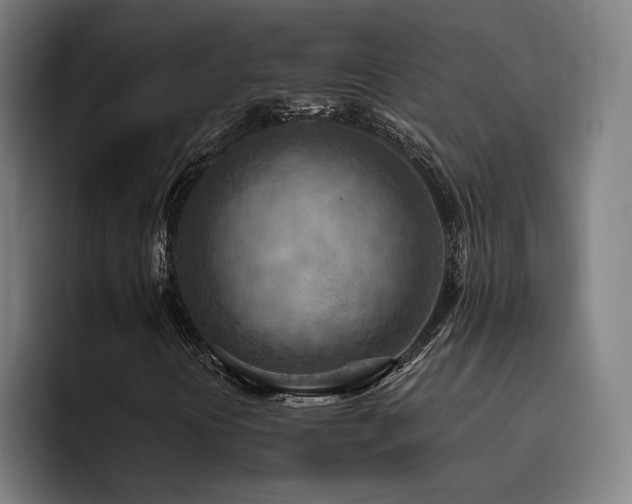 X0000093511394200710121523