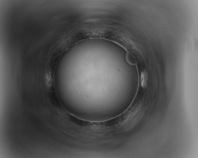 X0000093511395200710121523