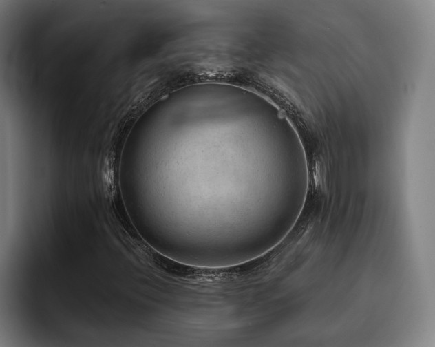X0000093511396200710121523