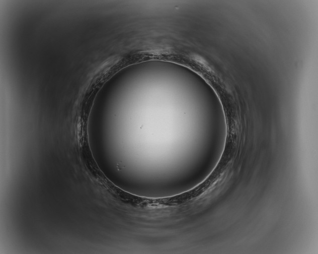 X0000093511398200710121523
