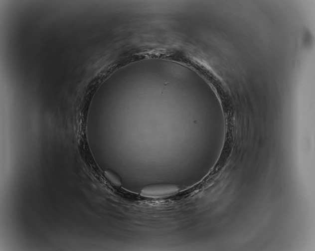 X0000093511399200710121523