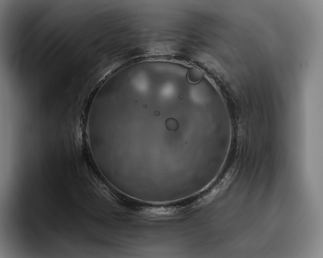 X0000093511401200710121523