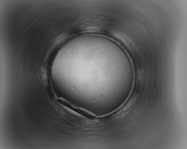 X0000093511403200710121523