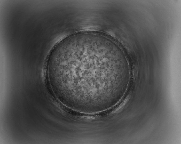 X0000093511405200710121523