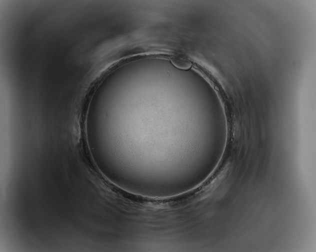 X0000093511407200710121523