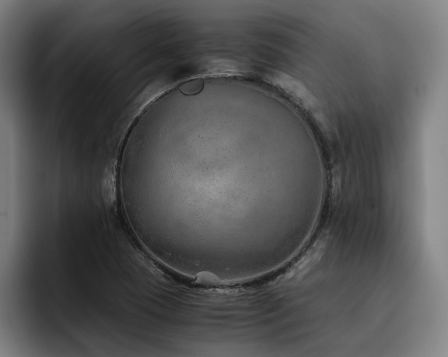 X0000093511409200710121523