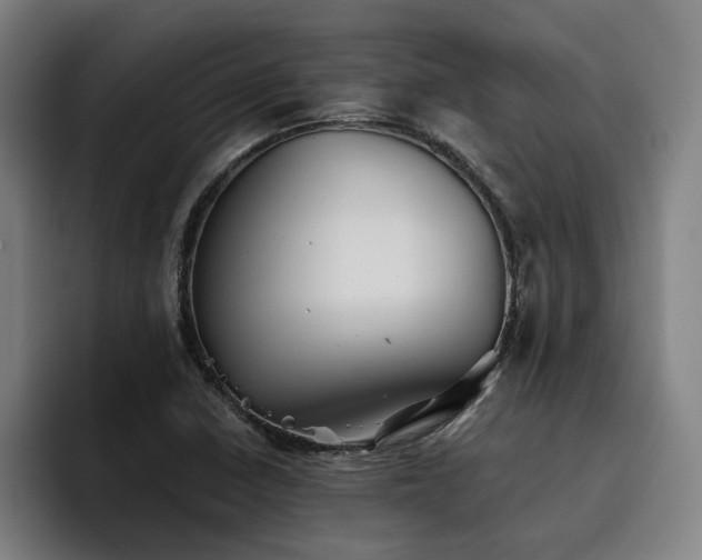 X0000093511410200710121523