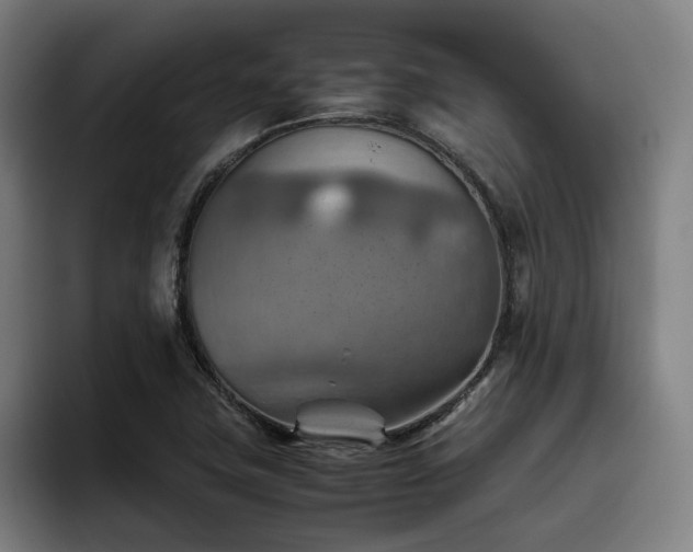 X0000093511411200710121523