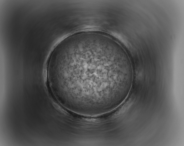 X0000093511413200710121523