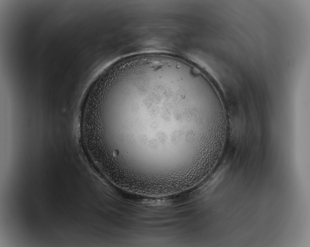 X0000093511415200710121523