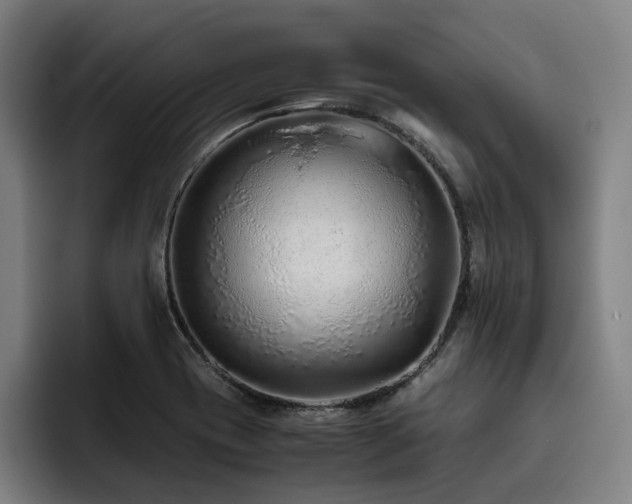 X0000093511417200710121523