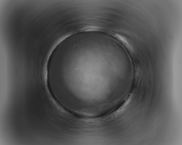 X0000093511418200710121523