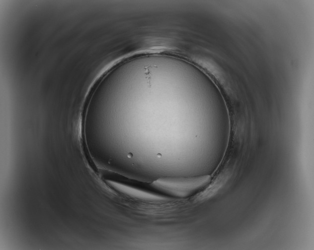 X0000093511420200710121523