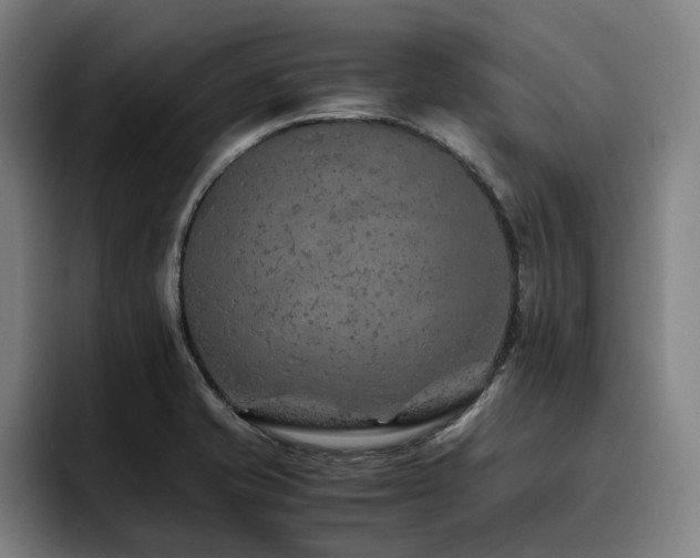 X0000093511421200710121523
