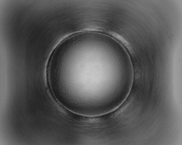 X0000093511423200710121523