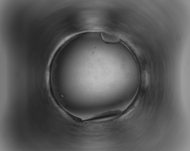 X0000093511424200710121523