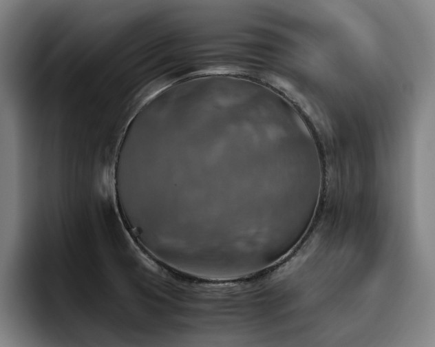 X0000093511425200710121523