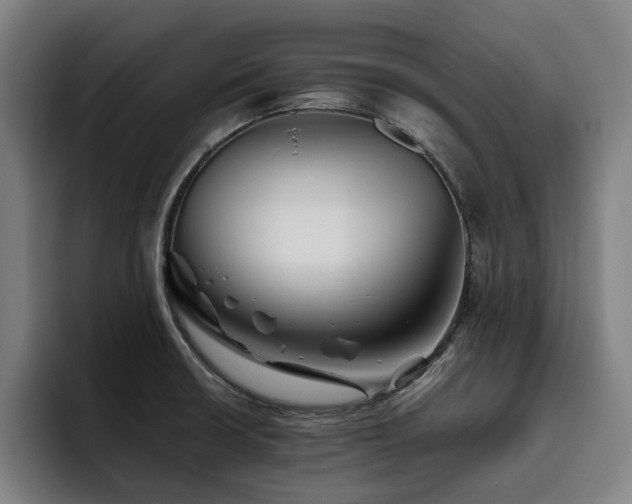 X0000093511426200710121523