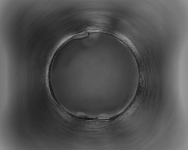 X0000093511427200710121523
